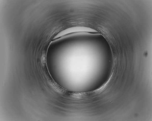 X0000090460190200707272245