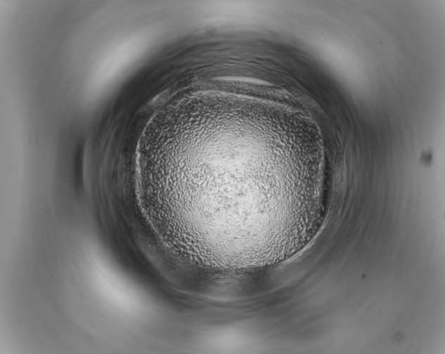 X0000090460191200707272245