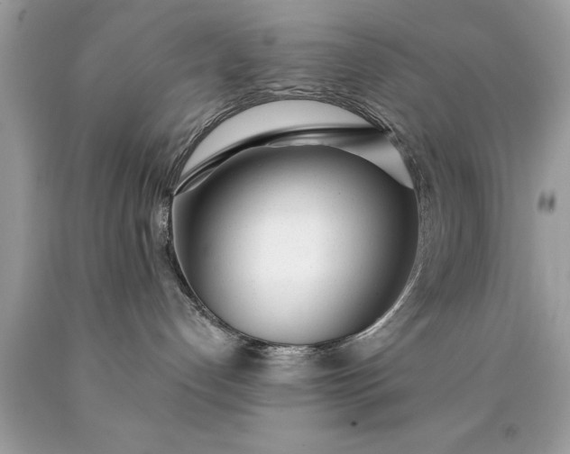 X0000090460192200707272245