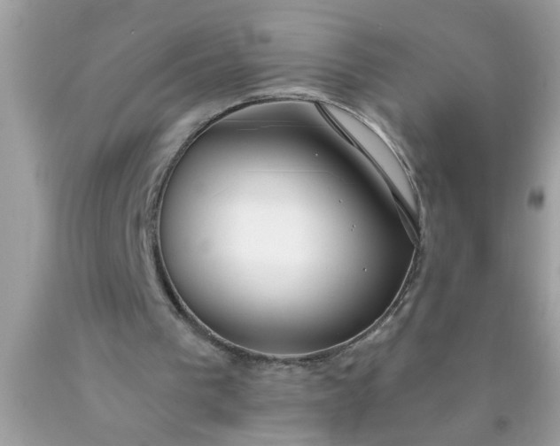 X0000090460193200707272244