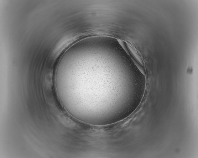 X0000090460194200707272244