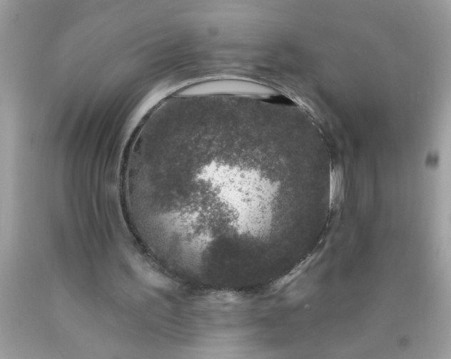 X0000090460195200707272244