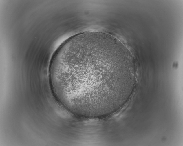 X0000090460196200707272244