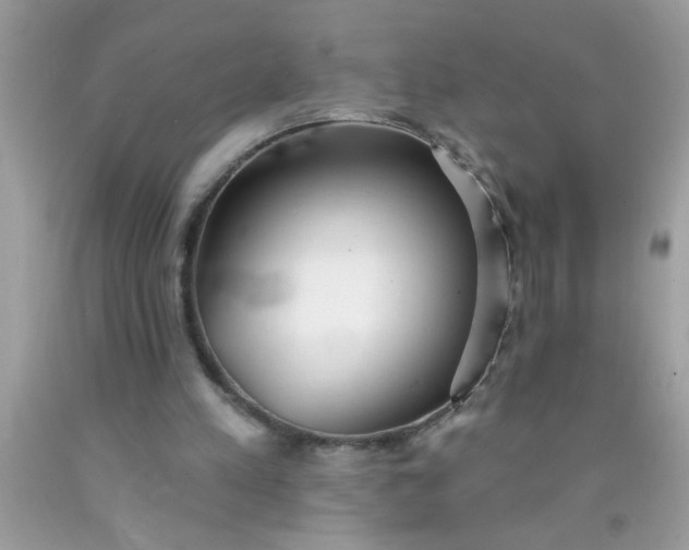X0000090460197200707272244