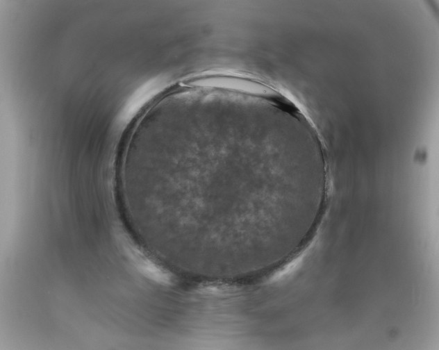 X0000090460199200707272244