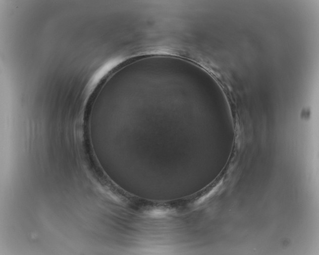 X0000090460200200707272244