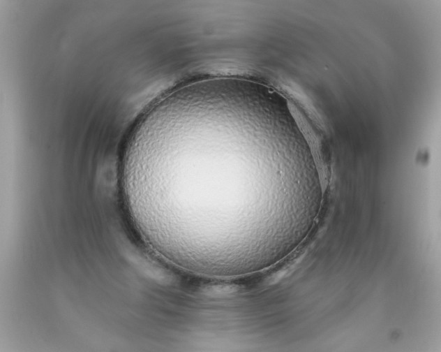 X0000090460202200707272244