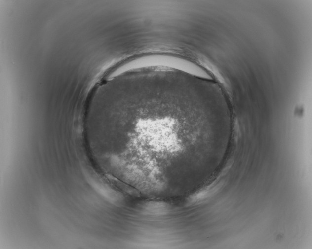 X0000090460203200707272244