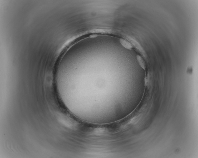 X0000090460204200707272244