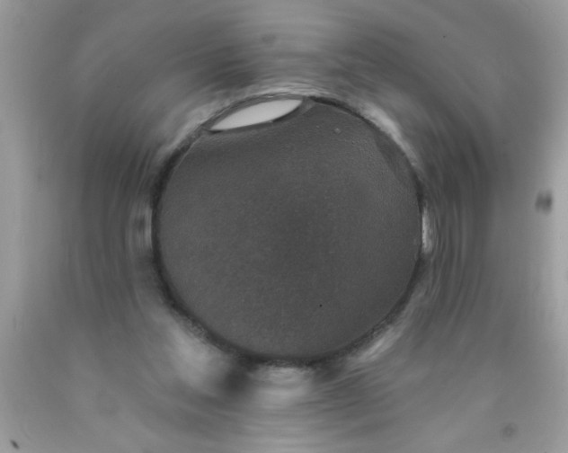 X0000090460205200707272244
