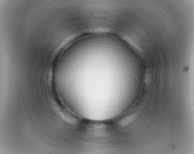 X0000090460206200707272244