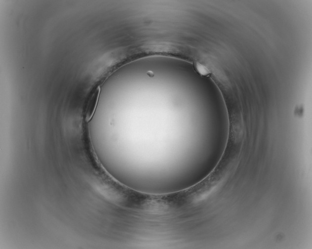 X0000090460207200707272244
