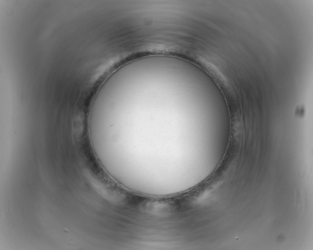 X0000090460208200707272244