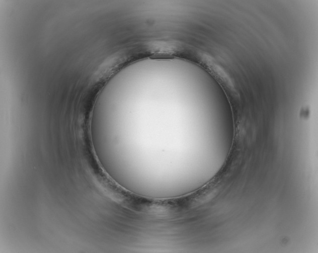 X0000090460209200707272244