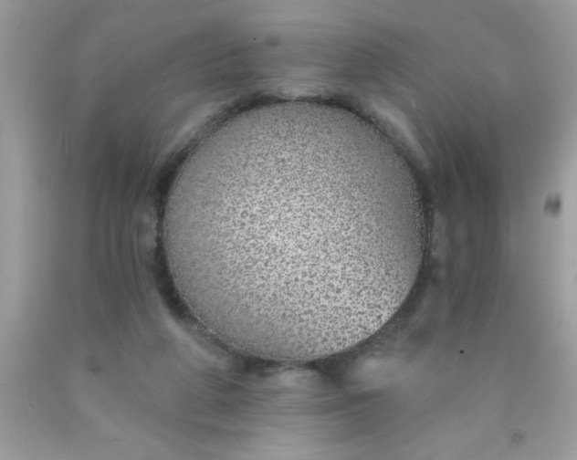 X0000090460210200707272244