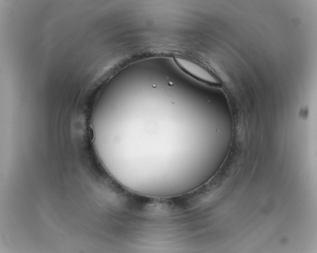 X0000090460211200707272244