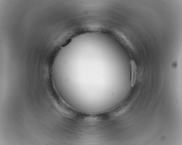 X0000090460213200707272244