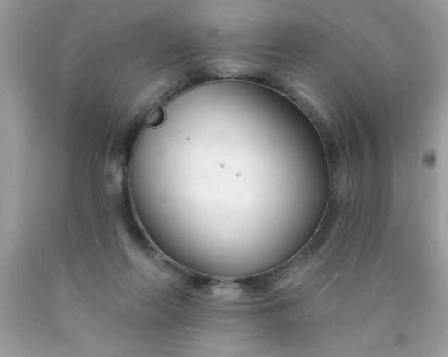 X0000090460214200707272244