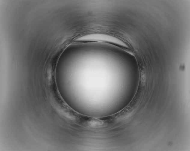 X0000090460215200707272244