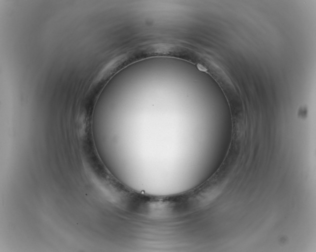 X0000090460216200707272244