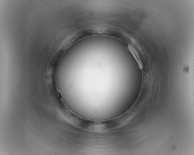 X0000090460217200707272244