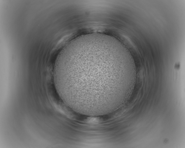 X0000090460218200707272244
