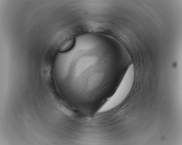 X0000090460219200707272244