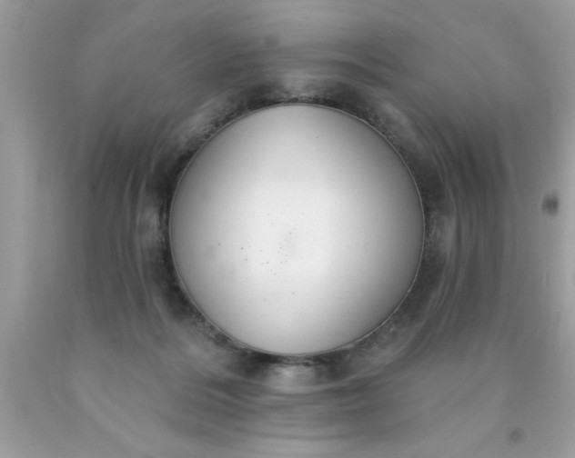 X0000090460220200707272244