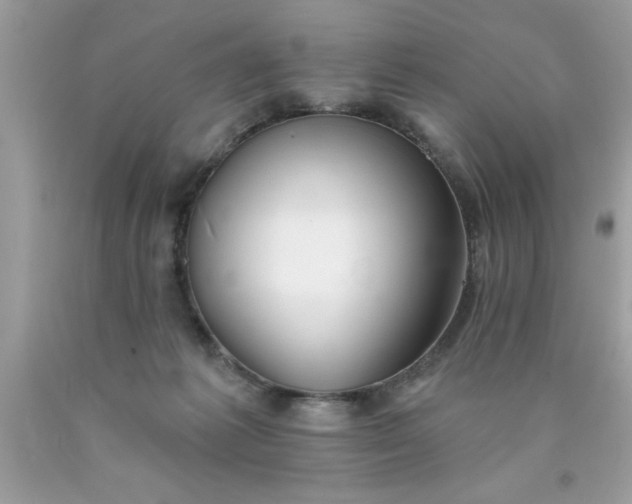 X0000090460221200707272244