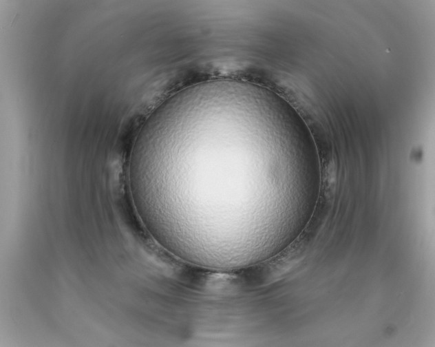 X0000090460222200707272244