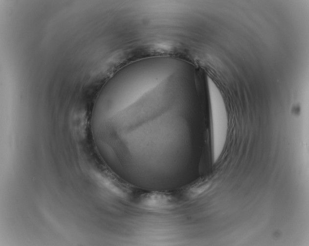 X0000090460223200707272244