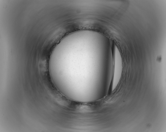 X0000090460224200707272244