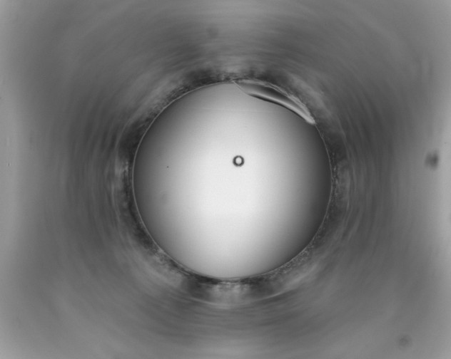X0000090460225200707272244