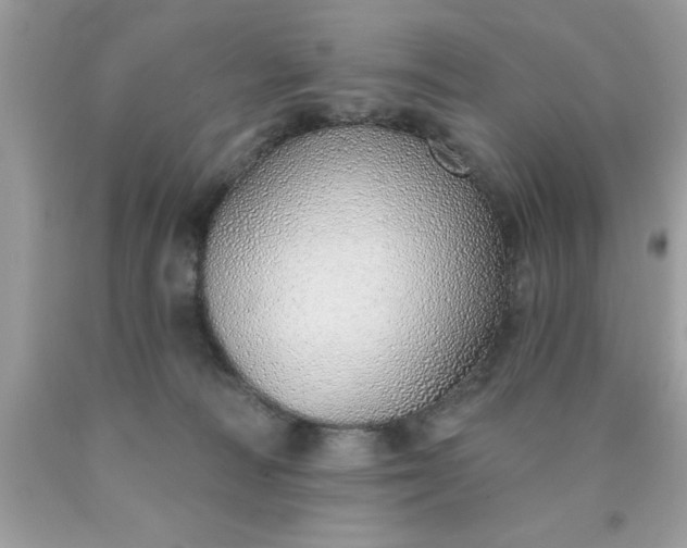 X0000090460226200707272244