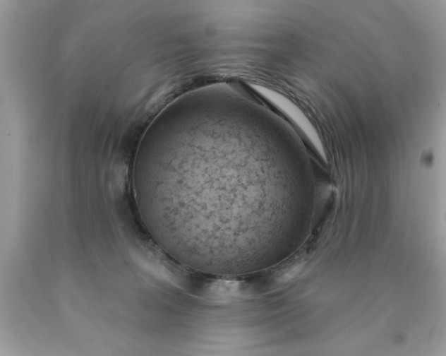 X0000090460227200707272244