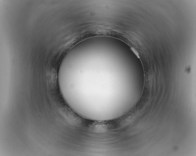 X0000090460228200707272244