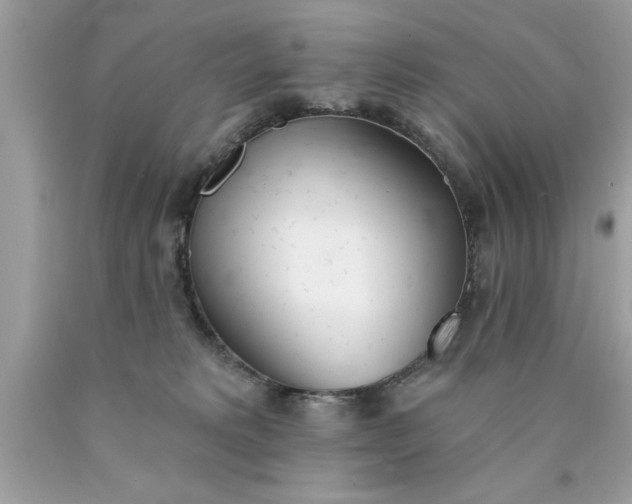 X0000090460229200707272244