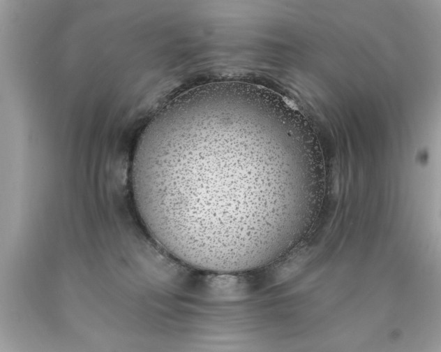 X0000090460230200707272244