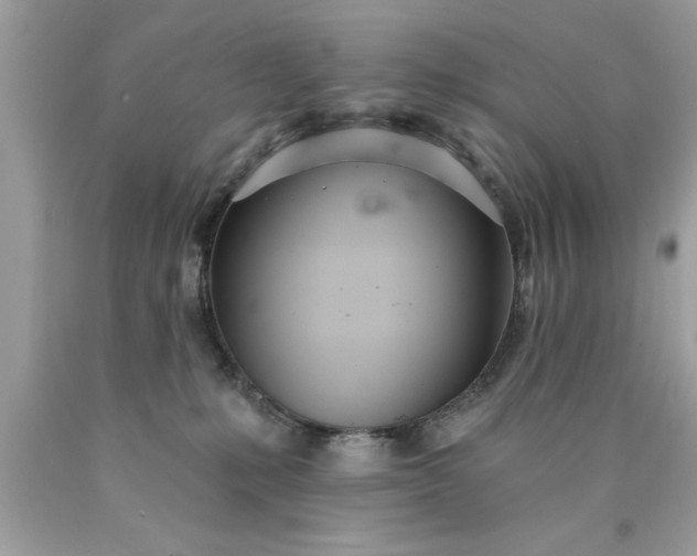 X0000090460231200707272244