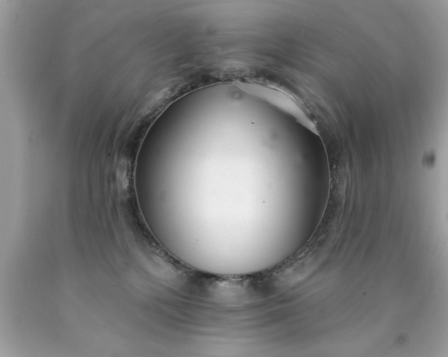 X0000090460232200707272244