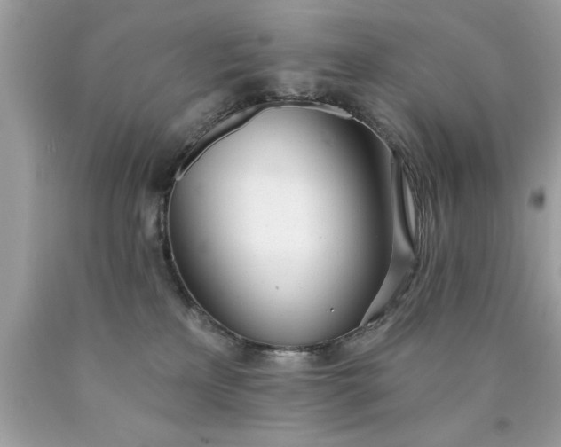 X0000090460233200707272244