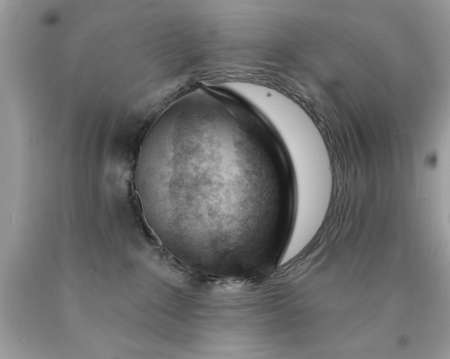 X0000090460235200707272244