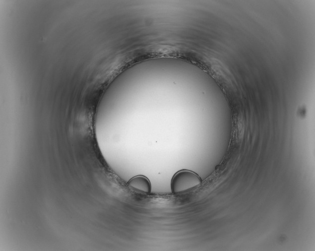X0000090460236200707272244