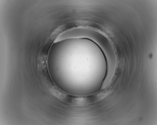 X0000090460237200707272244