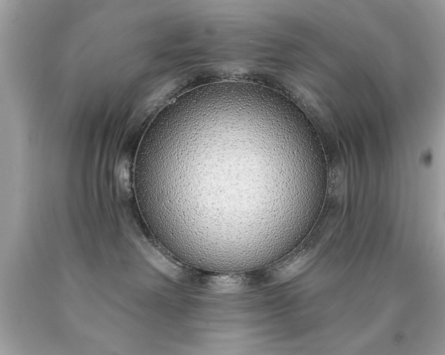 X0000090460238200707272244
