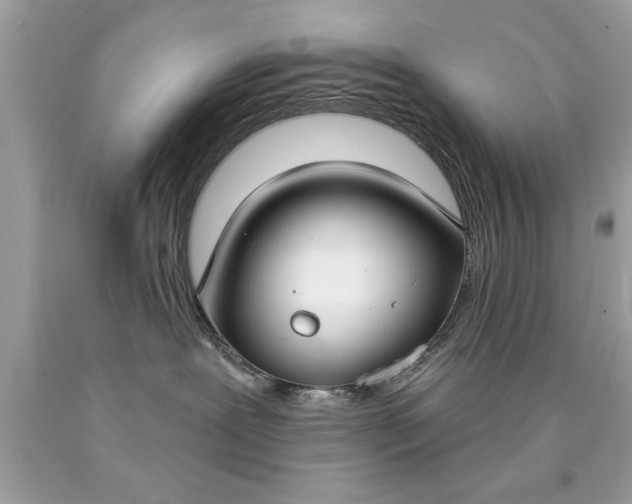 X0000090460239200707272244