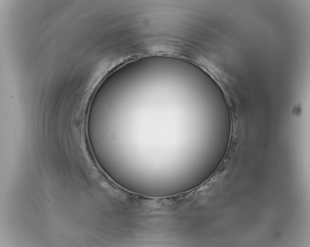 X0000090460241200707272243