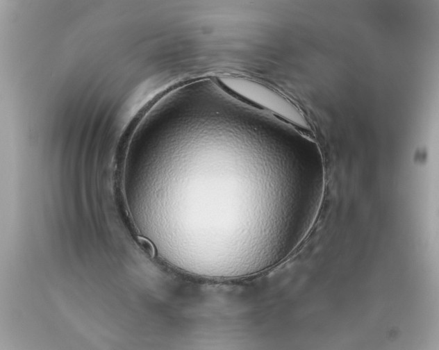 X0000090460242200707272243