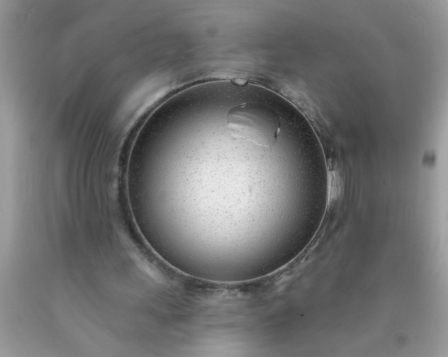 X0000090460243200707272243