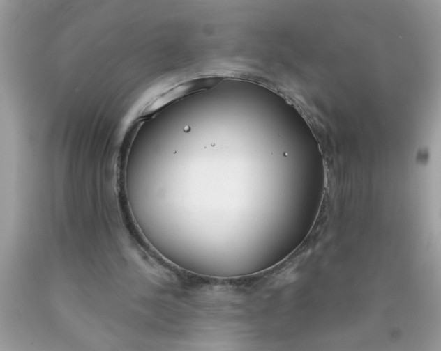 X0000090460244200707272243
